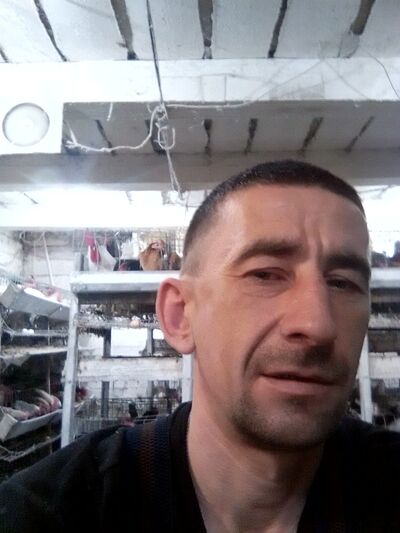  -,   , 38 ,   ,   , c 