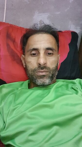  Dolphin,   Basher, 38 ,   ,   