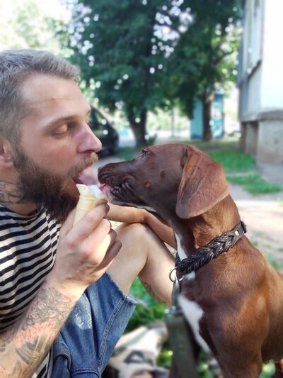  ,   Denis, 31 ,   ,   