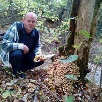  -,   , 41 ,   
