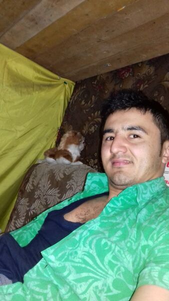  -,   , 33 ,   ,   , c 