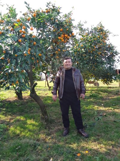  ,   , 40 ,   ,   