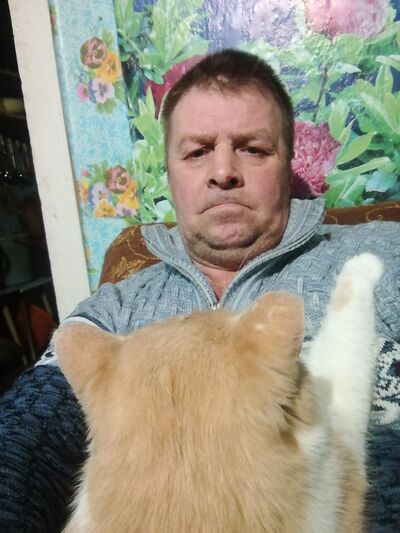  -,   , 51 ,   ,   