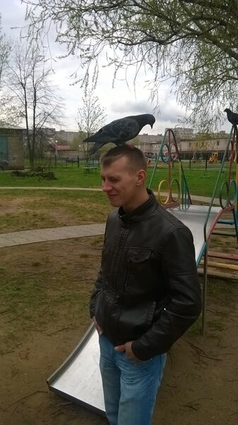   ,   , 36 ,   