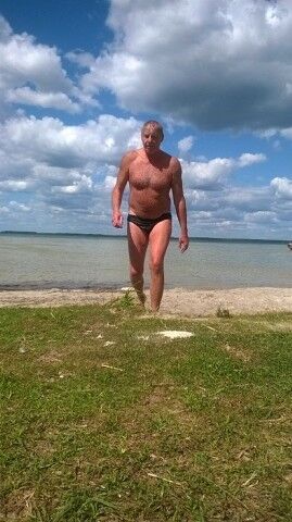  ,   Wald, 62 ,   