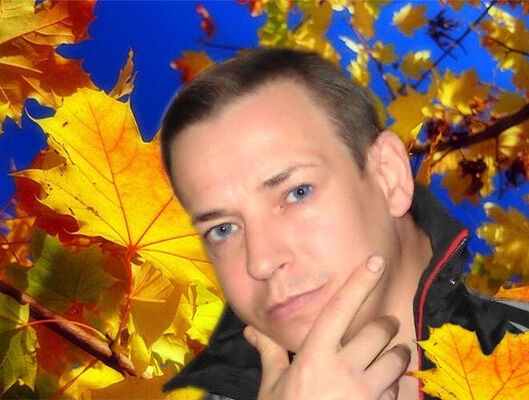  ,   , 51 ,     , c , 