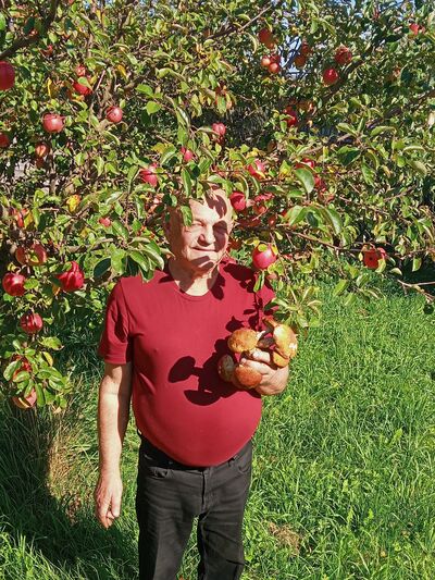  ,   , 72 ,   ,   