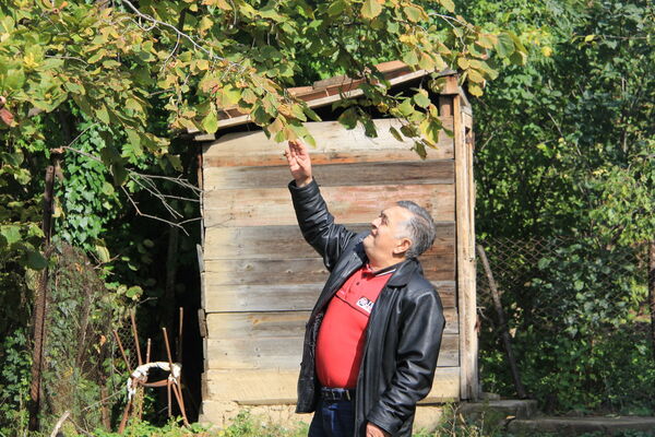  ,   Missha, 66 ,   