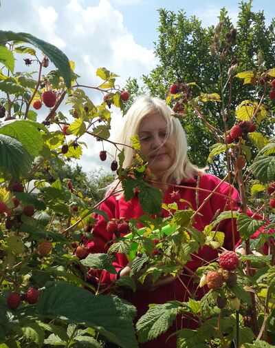  ,   Nika, 66 ,     , c 