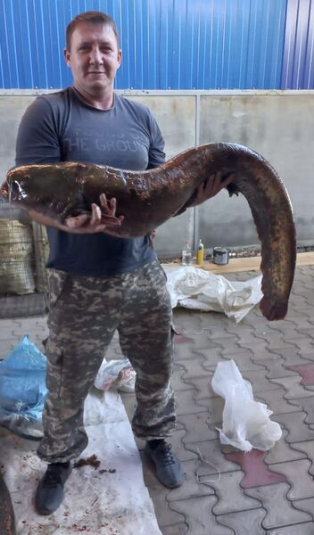  ,   , 43 ,   ,   , c , 