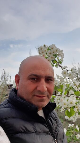  -,   , 53 ,   ,   