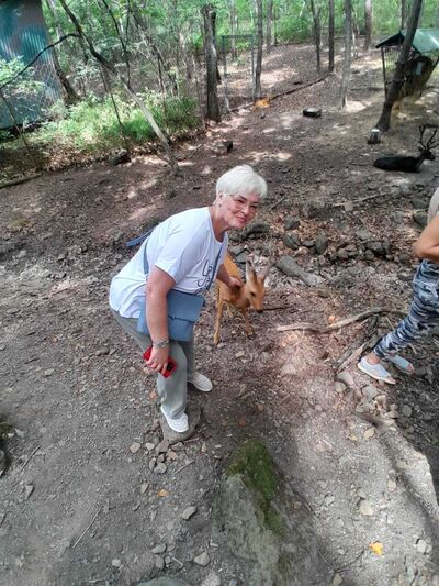  ,   , 51 ,     , c , 