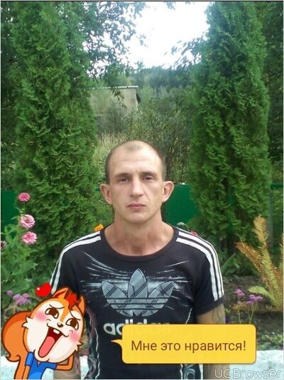  ,   , 41 ,   