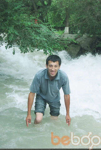  1207914  Murad7713534, 43 ,    