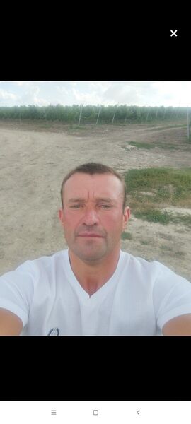  -,   Sercei, 41 ,   ,   