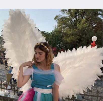  ,   , 29 ,   ,   , c 