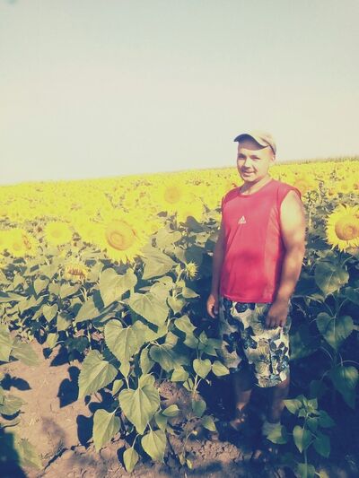  ,   Ebik, 31 ,   ,   , c 