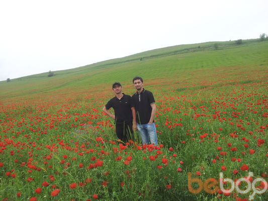 ���������� �������, ���� ������� McFann, 35 ���, ������������ ��� ������, ����� � ���������, c�������� ���������