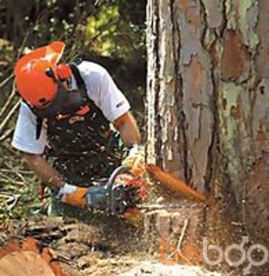 ���������� �������, ���� ������� �������, 48 ���, ������������ ��� ������, ����� � ���������, c�������� ���������