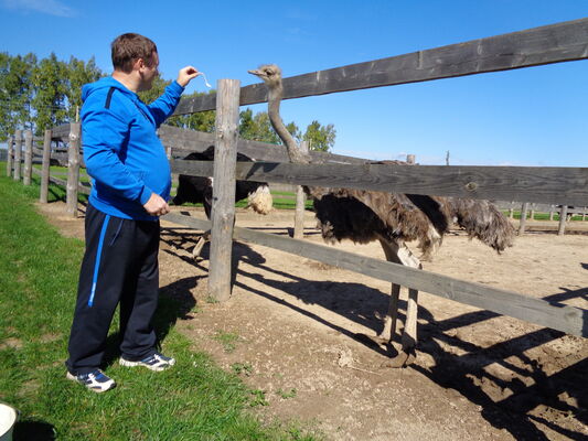  ,   , 52 ,   ,   , c , 