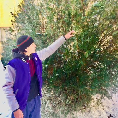  ,   Tohirsho, 20 ,   ,   