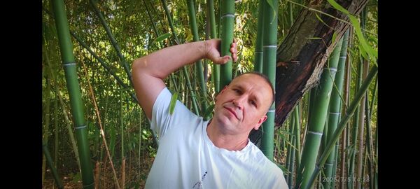  ,   Aerodrom, 36 ,   ,   , c 