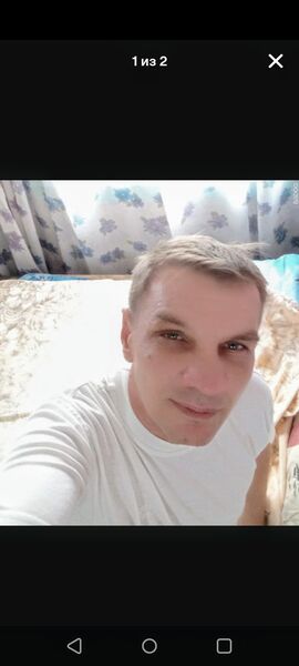  ,   , 43 ,   ,   , 