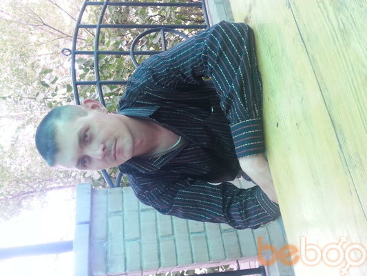  ,   DOG, 36 ,   