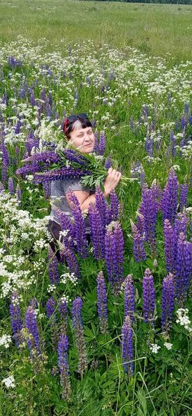  ,   Sofia, 56 ,   ,   , c 