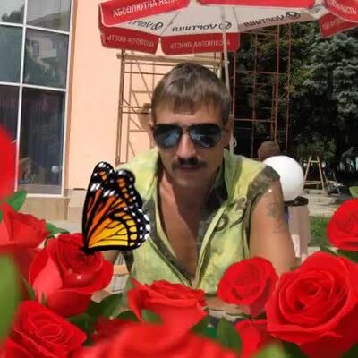  ,   , 53 ,  