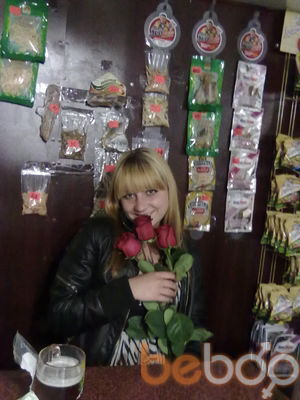  2004194  , 33 ,    -