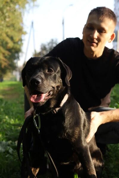  Lambeth,   , 31 ,   ,   