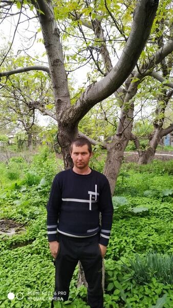  -,   , 38 ,   ,   
