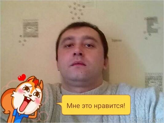  ,   , 43 ,   