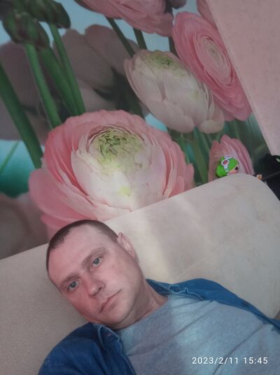  ,   DIMON, 25 ,   ,   