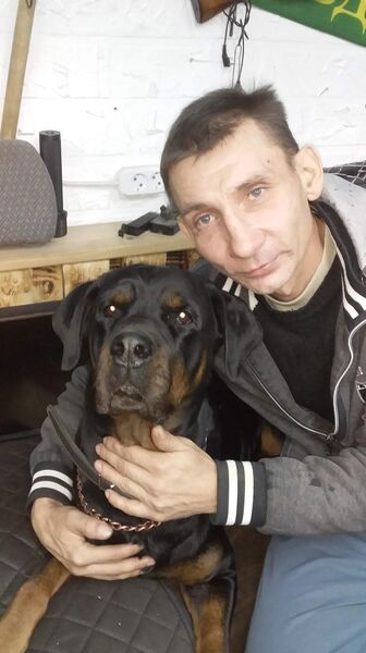  ,   , 46 ,   ,   , 