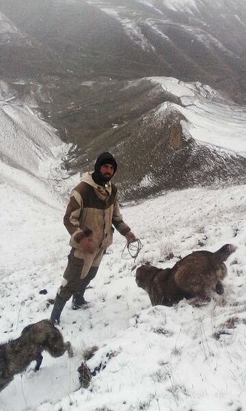  ,   , 33 ,     , c , 