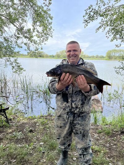  ,   Ed, 48 ,   