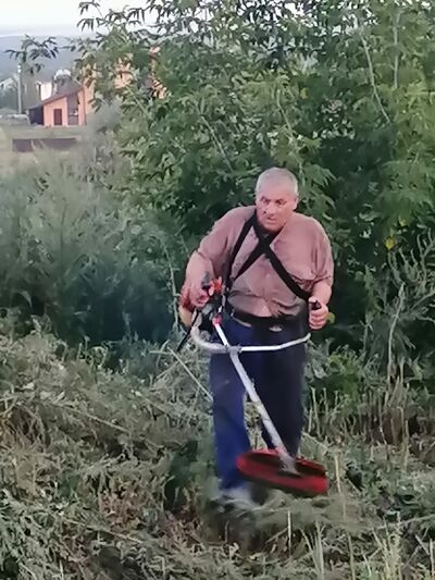  ,   , 54 ,   ,   
