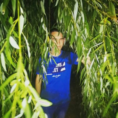  -,   , 28 ,   ,   , c 