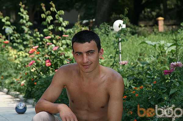  ,   Vasile, 33 ,   