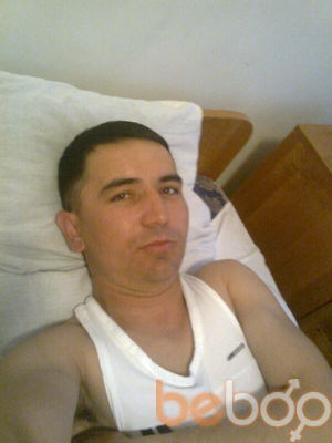  ,   , 44 ,   