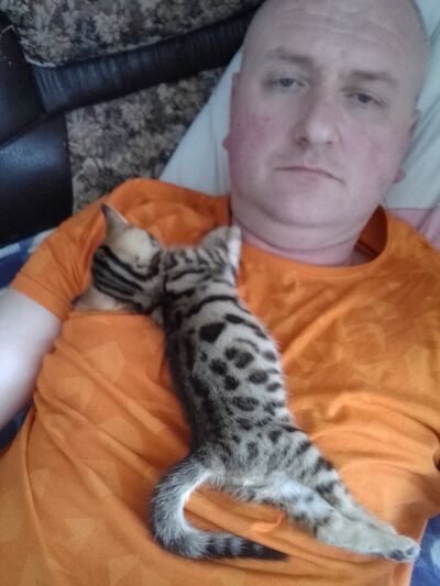  ,   , 44 ,   ,   