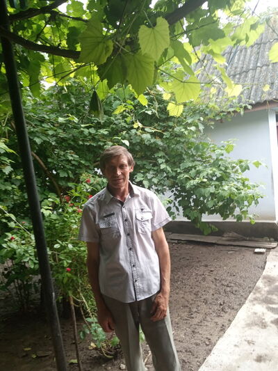  ,   Grisha, 63 ,     , c 