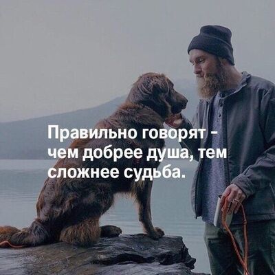  Vaslui,   , 43 ,     , c 