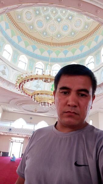  ,   DAVRON, 36 ,   ,   