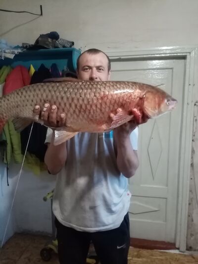  ,   , 39 ,   ,   