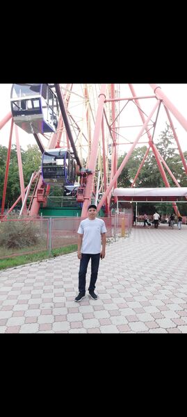  ,   , 33 ,   ,   