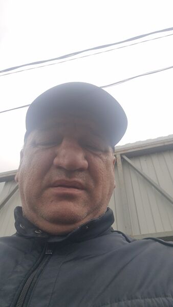  ,   , 55 ,   ,   