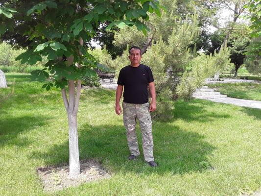  ,   Komil, 45 ,   ,   